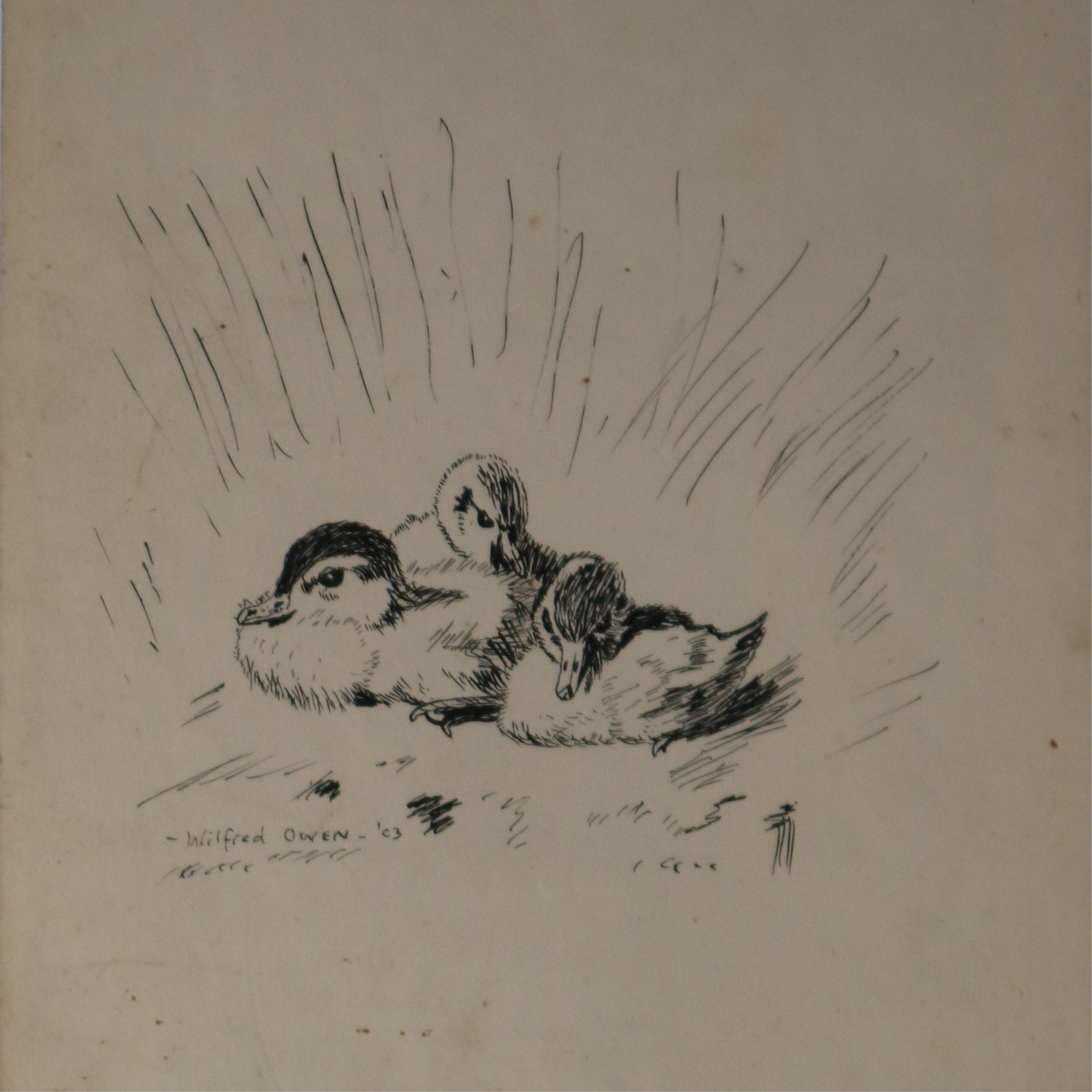 Wilfred Owen (British 1898-1918), Ink Sketch of Three Ducklings
